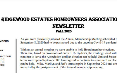 Newsletter – Fall 2020