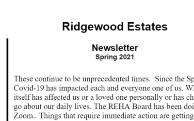 Newsletter – Spring 2021